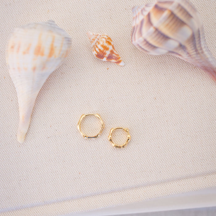Gold hoop earrings with seashells on a sandy surface