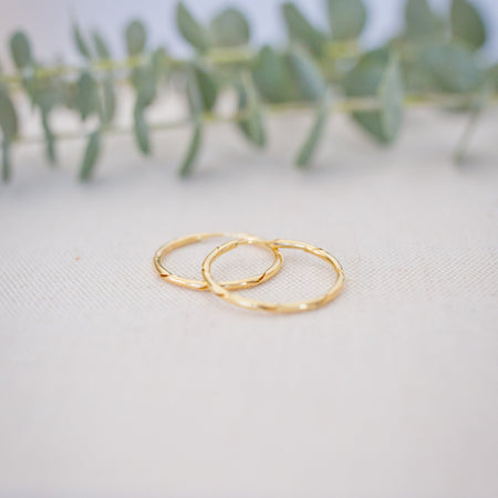 Two gold hoop earrings on a light surface with green leaves in the background