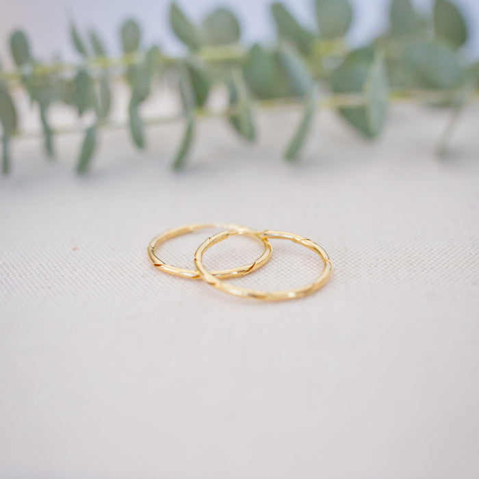 Two gold hoop earrings on a light surface with green leaves in the background