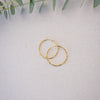 Two gold hoop earrings on a light fabric background with green leaves.