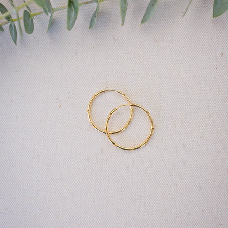 Two gold hoop earrings on a light fabric background with green leaves.