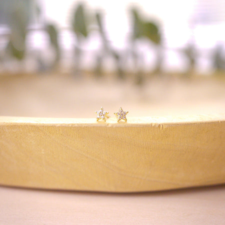 pave tiny star studs on wood bowl 