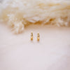 tiny drop huggies for second holes on  wood background