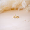 tiny huggies with gold ball texture on wood background