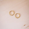 tiny huggies with gold ball texture on wood background