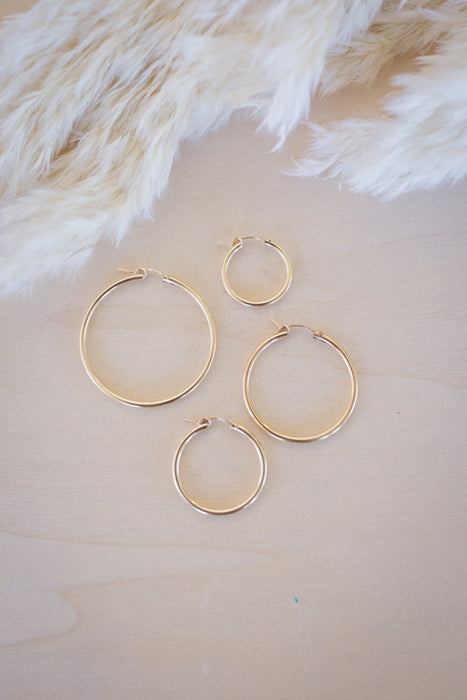 Timeless Hoops
